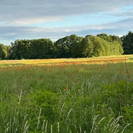 Near Berlin Villa