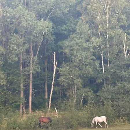 Near Berlin Villa