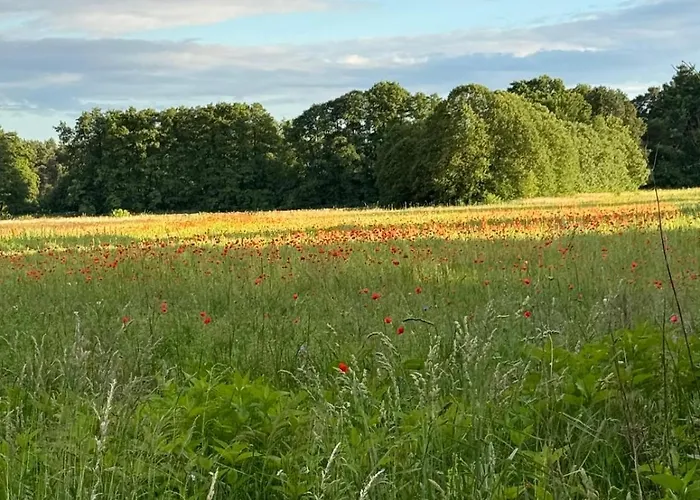 Near Berlin فيلة