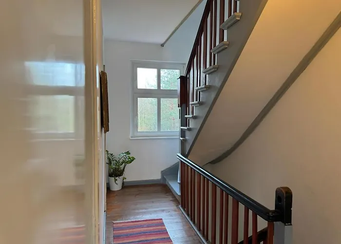 Near Berlin فيلة *