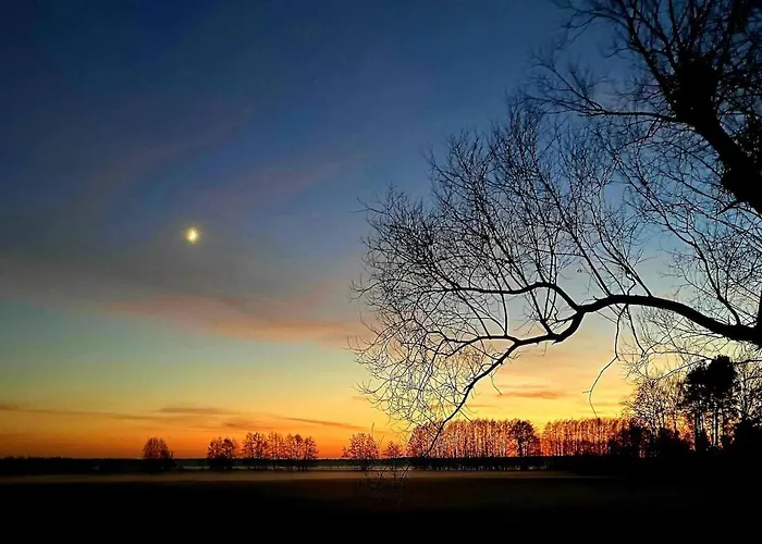 Near Berlin فيلة Marienwerder