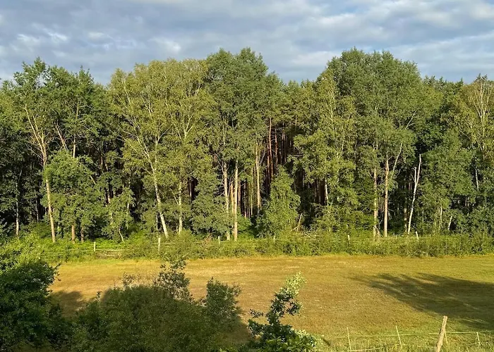 فيلة Near Berlin Marienwerder