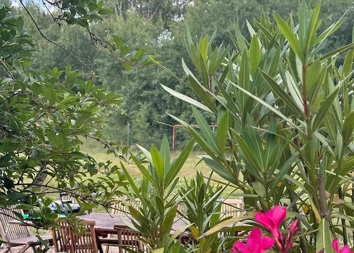 Near Berlin * Marienwerder