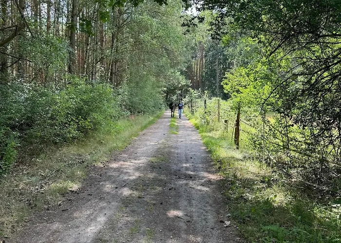 فيلة Near Berlin