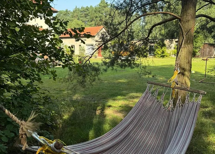 فيلة Near Berlin